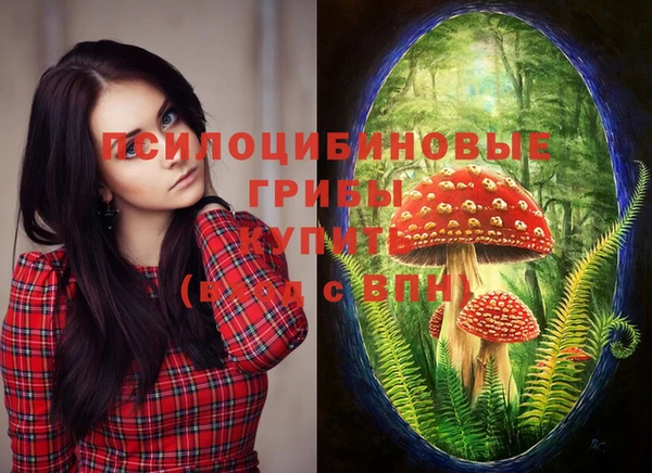 ПСИЛОЦИБИНОВЫЕ ГРИБЫ Балахна