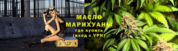 тгк Новодвинск