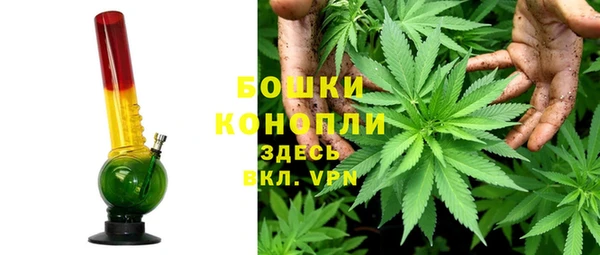 тгк Новодвинск